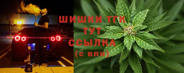 ПСИЛОЦИБИНОВЫЕ ГРИБЫ Ельня