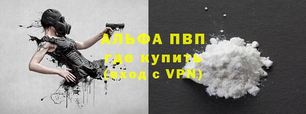 ПСИЛОЦИБИНОВЫЕ ГРИБЫ Ельня