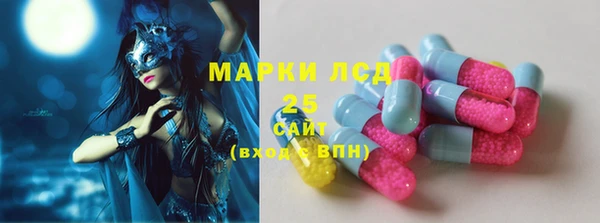 ПСИЛОЦИБИНОВЫЕ ГРИБЫ Ельня
