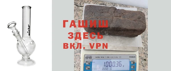 ПСИЛОЦИБИНОВЫЕ ГРИБЫ Ельня