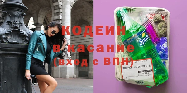 ПСИЛОЦИБИНОВЫЕ ГРИБЫ Ельня