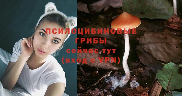 ПСИЛОЦИБИНОВЫЕ ГРИБЫ Ельня