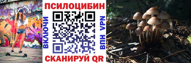 Купить где  Лобня  Галлюциногенные грибы Cubensis 